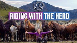 Riding With the Herd Iceland On Horseback AWARD WINNING