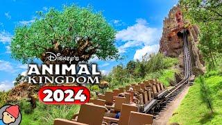 Disneys Animal Kingdom RIDES & ATTRACTIONS 2024  Walt Disney World