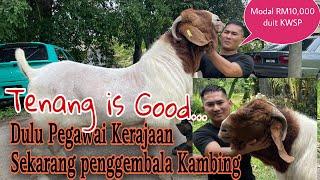 Kambing Boer Pet Zaman Now bikin Hasil Lumayan