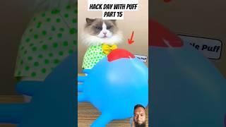Hack day with Puff part 15 #thelittlepuff #whatshouldpuffdo #puffknowsbetter #thatlittlepuff #memes