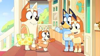 Brandy Returns With Her New Baby? - Bluey New Episodes 2024