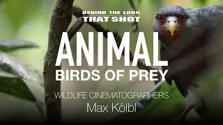 BEHIND THE LOOK  BIRDS OF PREY  Max Kölbl