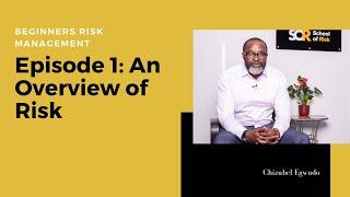 Beginners Risk Management Episode 1 - An Overview of Risk