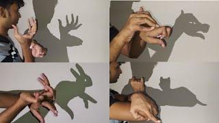 Animals Shadow Puppets Hand Tricks