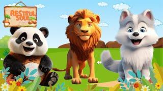 Wild Animal Sounds Panda Lion Wolf  Animal Moments