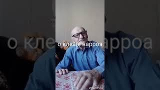 Как на 100 % победить клеща варроа . Рассказывает старейший пчеловод с 65 летним стажем