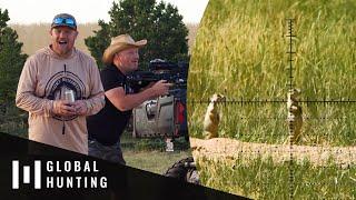 Prairie Dog Plague in Southern Utah Varminting at its BEST  Element Global Hunting Episode 6