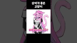 상어가 되고싶은 고양이 feat.퍼리