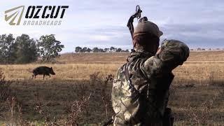 100 KILLSHOTS - Ultimate Bowhunting Compilation