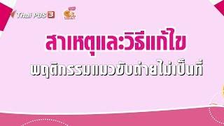 สาเหตุและวิธีแก้ไขพฤติกรรมแมวขับถ่ายไม่เป็นที่  เคล็ดไม่ลับดูแลโฮ่งเหมียว 31 ม.ค. 63