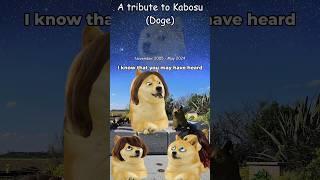 A tribute to Kabosu Doge