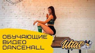 Урок Dancehall Денсхолл  Обучающие видео  Штат27