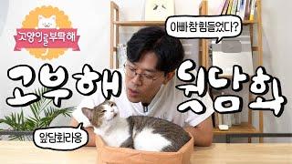 다 찍어놓고 방송불가된 썰 전 스태프 식겁한 고양이등 고부해 비하인드 이제는 말할 수 있다