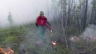 What is fueling massive Siberian wildfires?  REUTERS