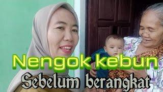 Nengok kebun sebelum berangkat kerja tempat mbokku.