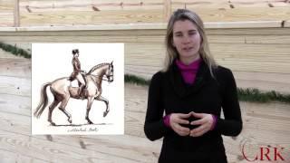 Horse Terms Explained