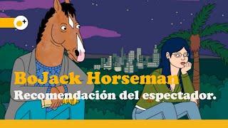 BOJACK HORSEMAN   Recomendación del espectador