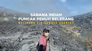 Gunung Welirang via Sumber Brantas Cangar  Jalur Tercantik dan Tercepat