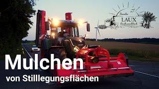 Mulchen Fendt 724  Stilllegung mulchen mit Dragon Großflächenmulcher 2017 *Full HD*