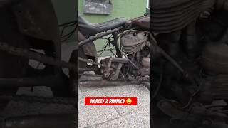 Harley Z Piwnicy Znaleziony we Wrocławiu Wla