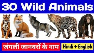 30 wild animals name 30 जंगली जानवरों के नाम Wild animals Animals Animals name English to Hindi