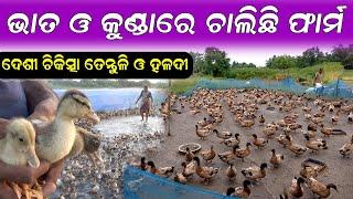 ଦେଶୀ ପଦ୍ଧତିରେ ବତକ ପାଳନ   How To Start Duck Farm In Village.