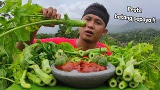 MUKBANG LALAPAN MENTAH BATANG  PEPAYA TANPA NASI - HABIS SEKEBON GAESS‼️