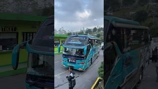 telolet basuri bus safana comando di trip darajat pass #videobus #buspariwisata #teloletbasuri