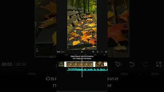 Как сделать красивое видео с фотографиями Видеомонтаж на телефоне  CapCut обучение