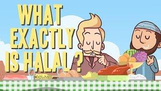 What Exactly Is Halal? - Mufti Menk