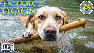 How to Beat Dog Boredom 24 Hours of Best Fun & Relaxing TV for Dogs with Video Music for Dogs - NEW