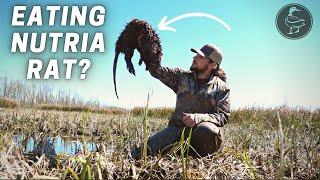 Hunting and EATING Invasive NUTRIA RATS  Are Nutrias Good to Eat?