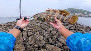 Câu cá dưới mưa Fishing in the rain