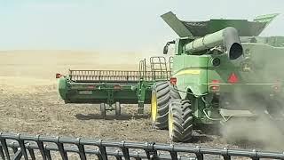 When bad things happen they tend to happen all at once Day 5  July 24  Highwood MT Wheat Harvest