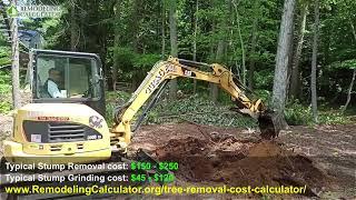 30 inch Stump Removed in 1 minute with Small Backhoe