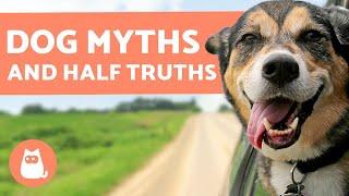 10 MYTHS and HALF-TRUTHS about DOGS that Will Surprise You