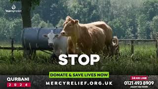 STOP Have you given your Qurbani yet? Fulfil your duty today