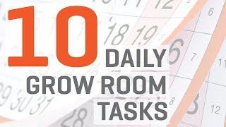 Hydroponics Indoor Grow Room 10 Daily Tasks