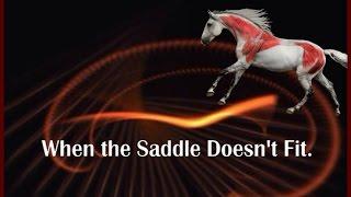 When the Saddle Does Not Fit by Saddlefit 4 Life®