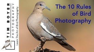 The 10 Rules of Bird Photography