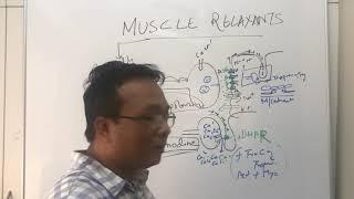 Muscle Relaxantssuccinylcholine and Malignant Hyperthermianeuromuscular blocker