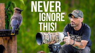 Wildlife Photographers Overlook THIS TIP