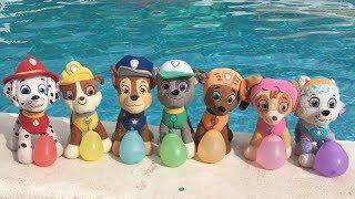 Aprende los colores con juguetes Paw patrol y Chase en la piscina. Videos educativos para niños