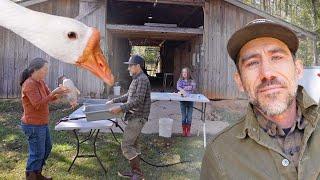 Family Goose Harvest Fall Has Arrived on the Homestead VLOG