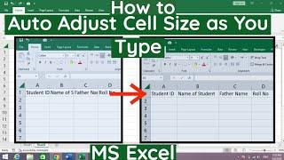 How to Auto Adjust Cell Size as You type in MS Excel  Auto Adjust Cell Size While Typing in Excel