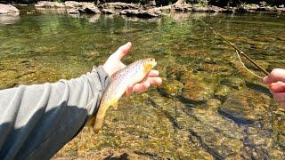 Fly Fishing Adventure on the South Holston River – East Tennessee’s Hidden Gem