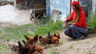 Bir Zamanlar Podyumların Yıldızı Olan Bilun Dohmen Şimdi Tavuk Besliyor