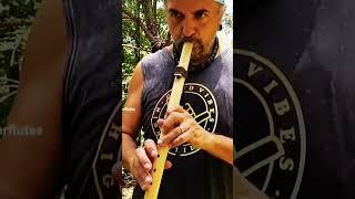 Traditional 6 hole flute by Blue Bear Flutes.