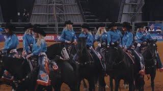 LIVE Houston 2023 Rodeo Coverage