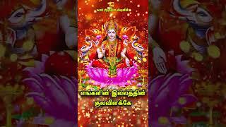 ஸ்ரீ மஹாலக்ஷ்மி திருவிளக்கே  பாடல்  Watch Full Album Follow Link  httpsyoutu.bezbG3hvzgdvA